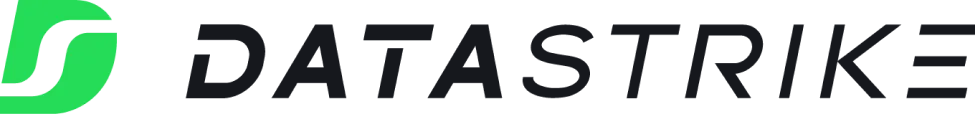Datastrike logo