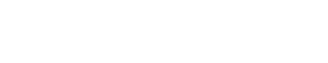 Sparkplug
